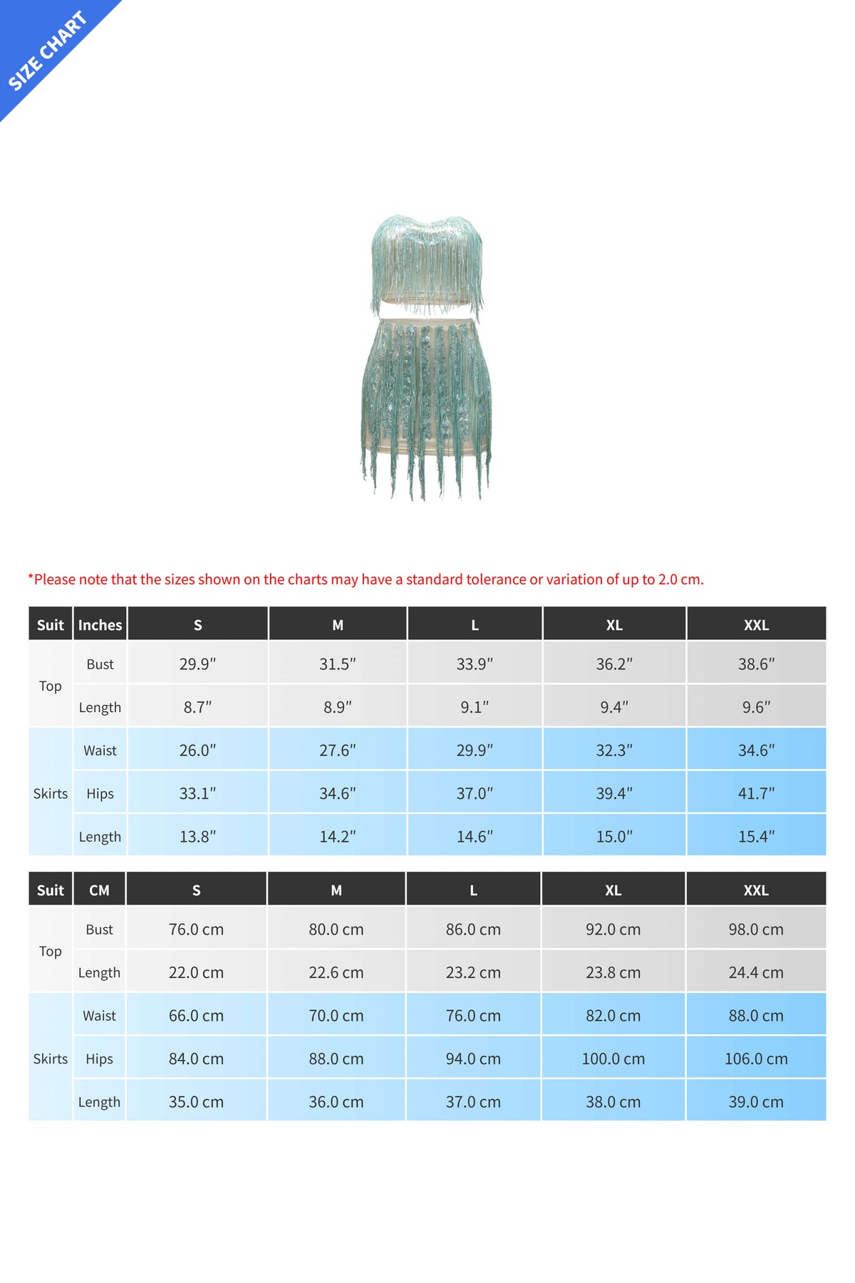 Strapless Top & Fringe Skirt Set Lavish Daily