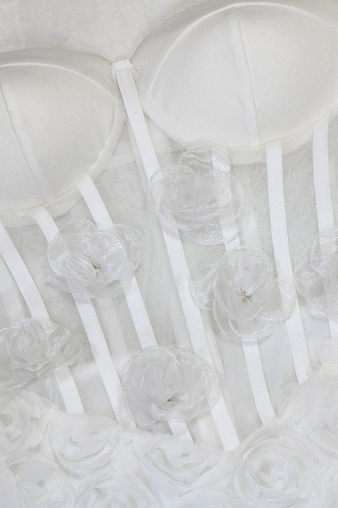 Mesh Mini Dress Lavish Daily