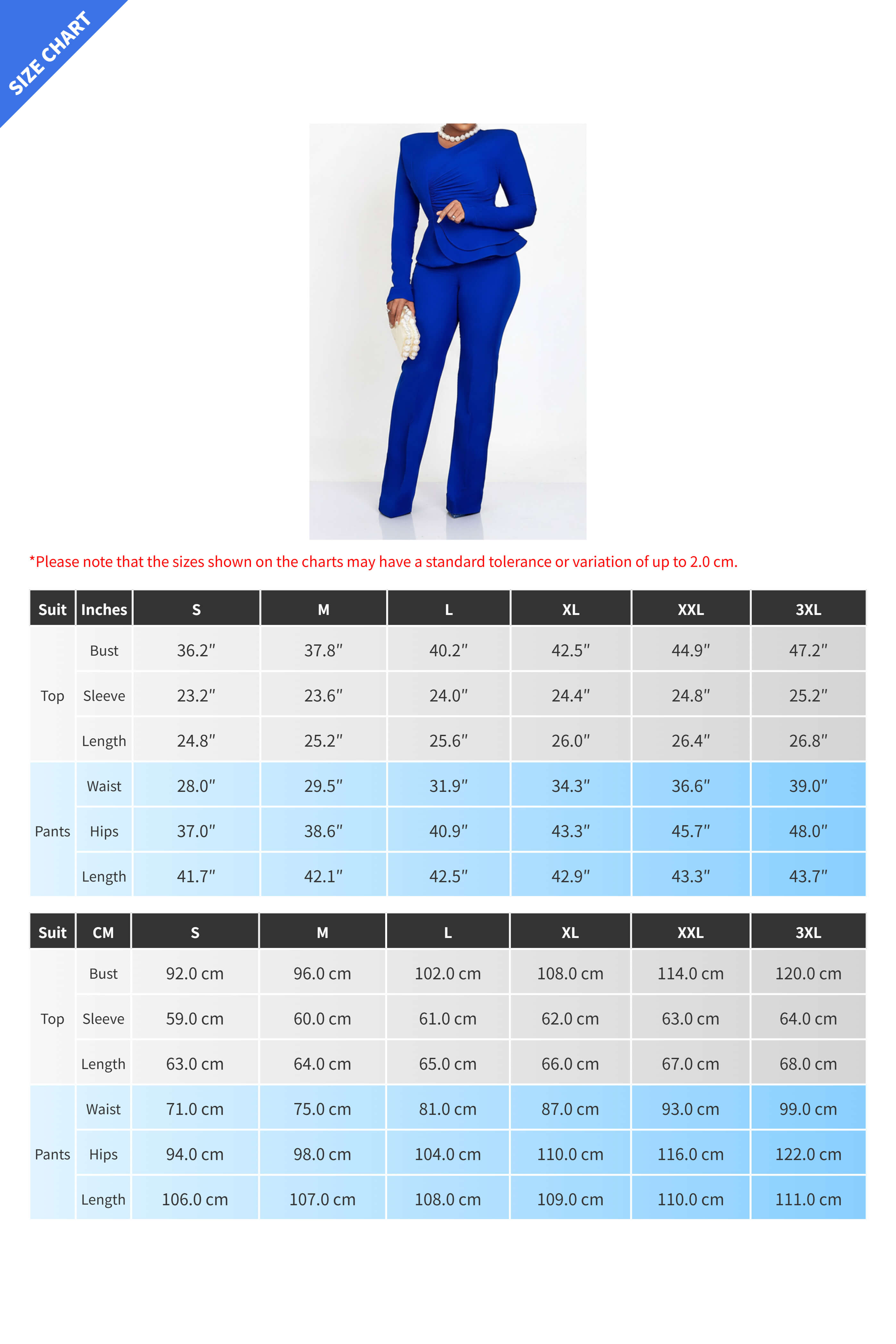 Ruffle Hem Blouse & Pants Set Lavish Daily
