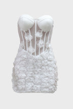 Mesh Mini Dress Lavish Daily