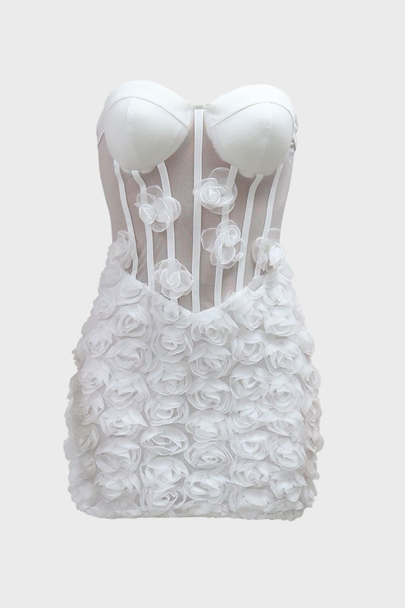 Mesh Mini Dress Lavish Daily