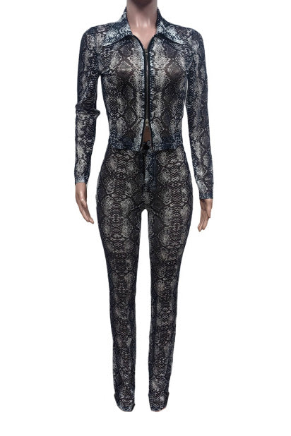 Slim Fit Printed Stretch Pants Set Lavish Daily