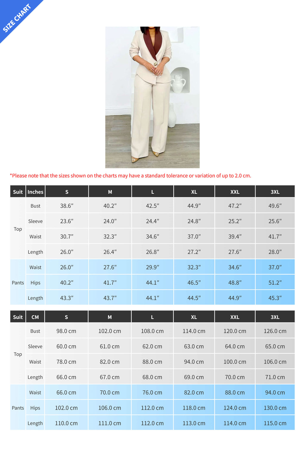 Two-Tone Blazer & Pants Set Lavish Daily