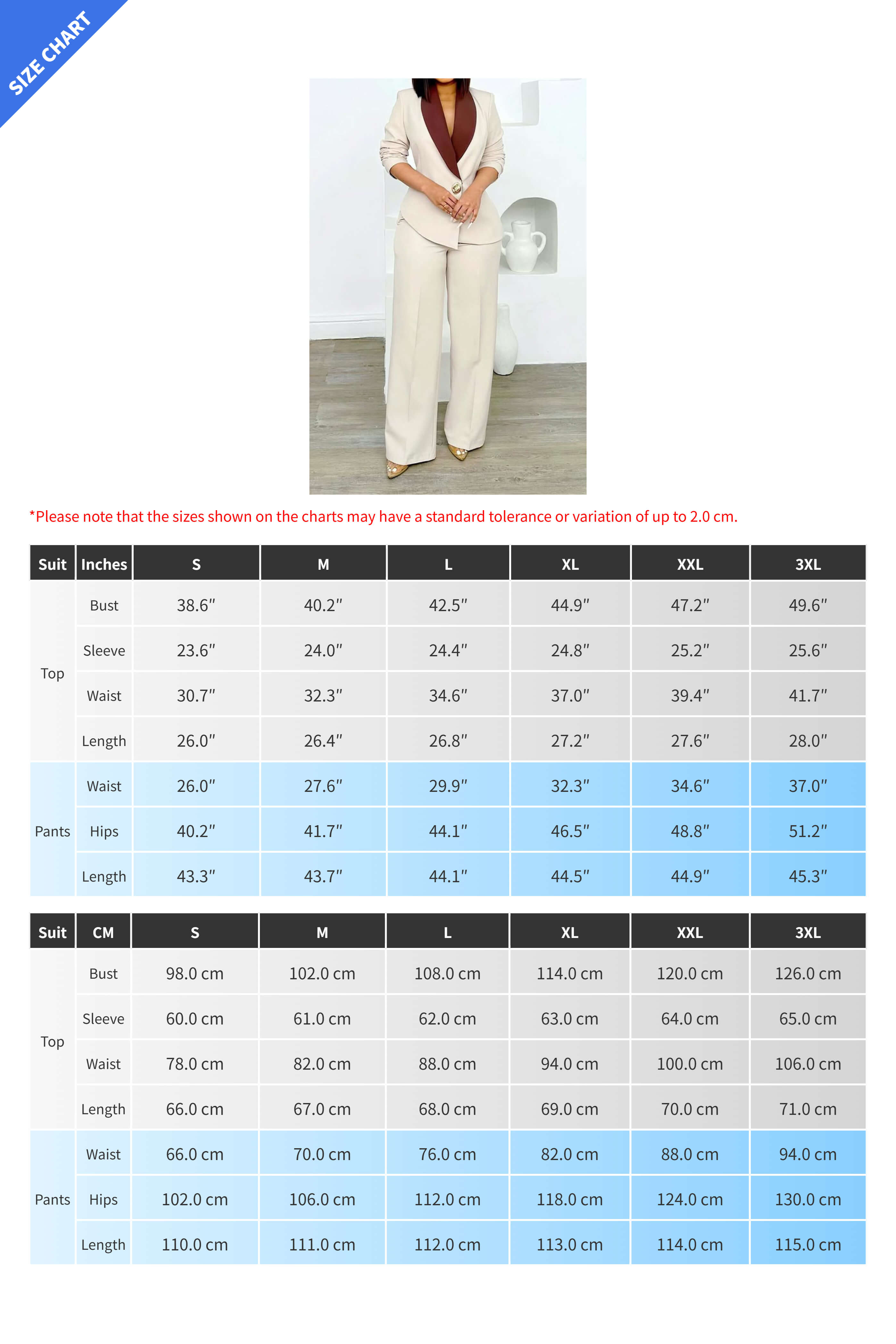 Two-Tone Blazer & Pants Set Lavish Daily