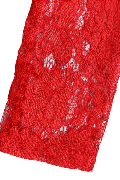 Elegant Lace Slim Fit Patchwork Sexy Dress Lavish Daily