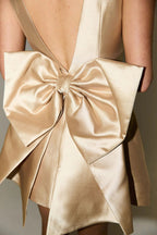 Bow Detail Mini Dress Lavish Daily