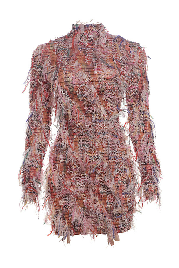Multi-Color Fringe Mesh Mini Party Dress Lavish Daily