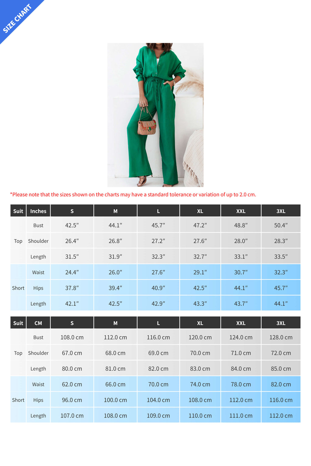 Elegant Ruffle Shirt And Pants Set Lavish Daily