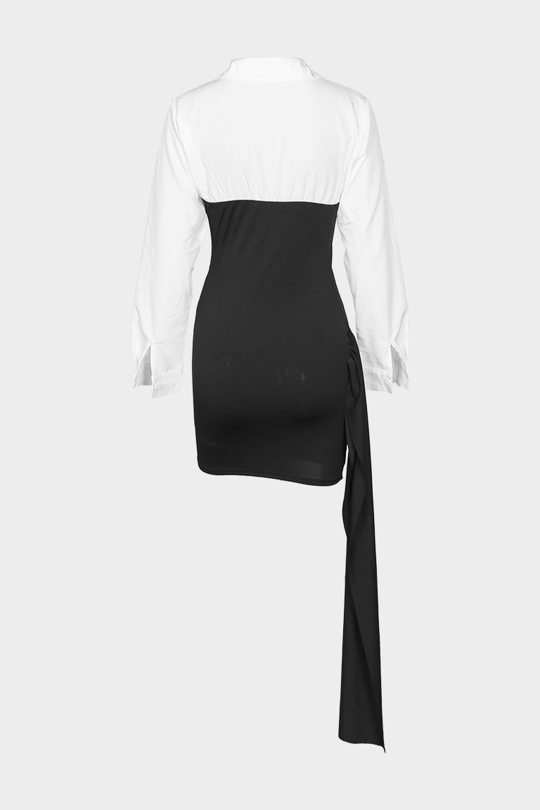 Elegant Color Block Lapel Dress for Office Lavish Daily