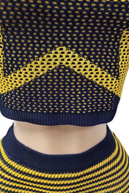 Stretchy Sleeveless Tank Top & Mini Skirt Set Lavish Daily