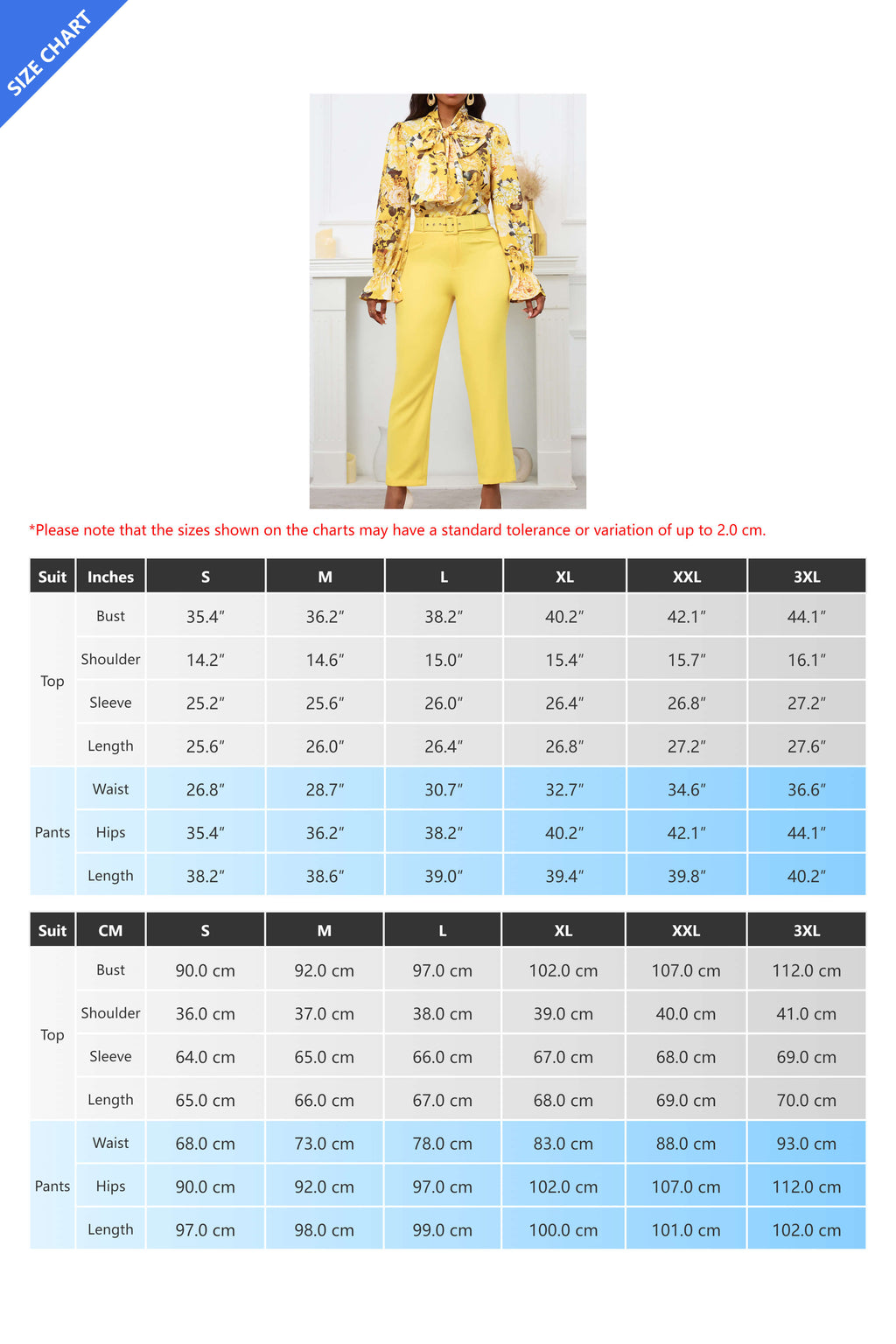 Floral Printing Blouse Solid Color Pants Set Lavish Daily