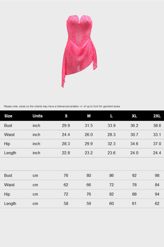 Strapless Mesh Bodycon Club Party Dress Lavish Daily