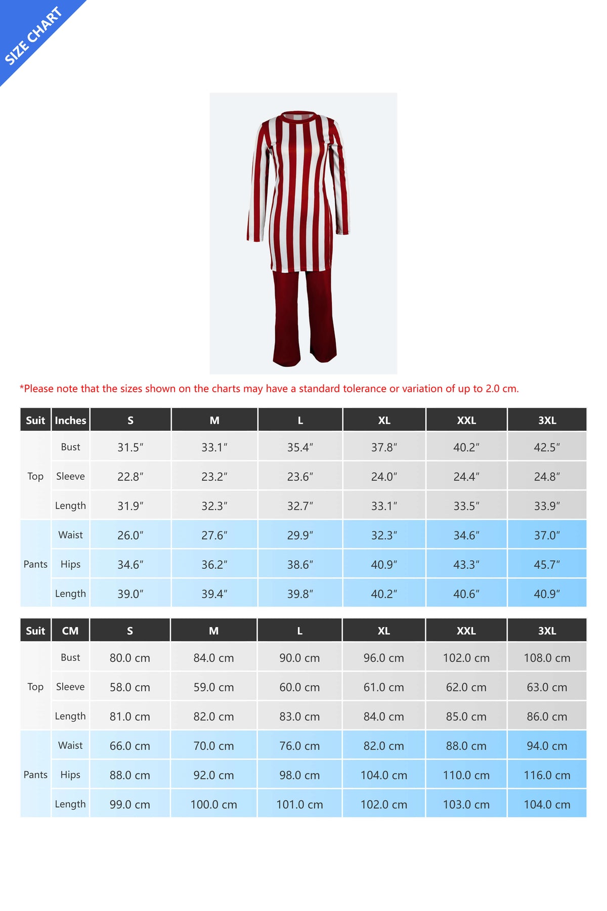 Striped T Shirts & Pants Set Lavish Daily