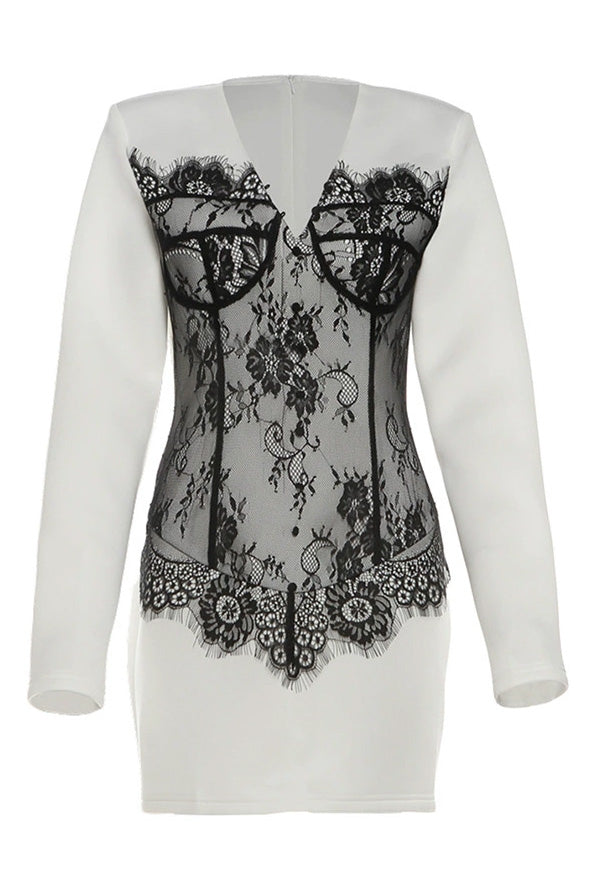 Lace Corset Mini Dress Lavish Daily