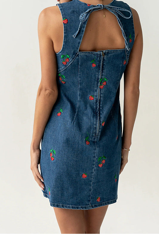 Embroidered Relaxed Denim Vest Dress Lavish Daily