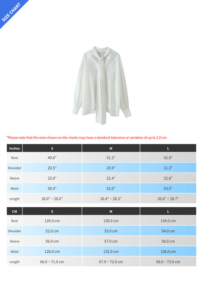 Satin Scarf-Neck Blouse Lavish Daily