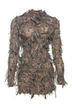 Multi-Color Fringe Mesh Mini Party Dress Lavish Daily