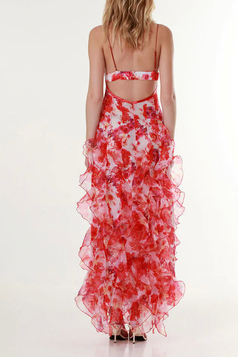 Ruffle Sheer Maxi Dress Lavish Daily