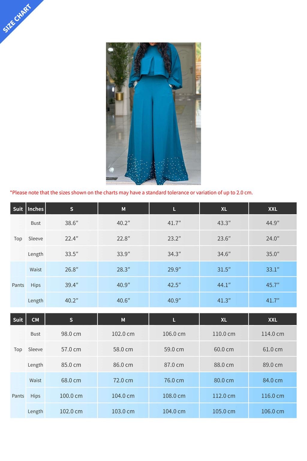 Lantern Sleeve Top & Wide Leg Pants Set Lavish Daily