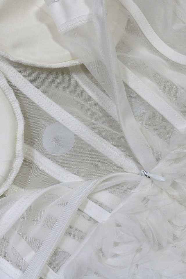 Mesh Mini Dress Lavish Daily