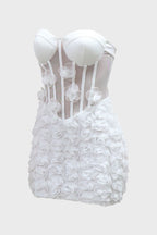 Mesh Mini Dress Lavish Daily