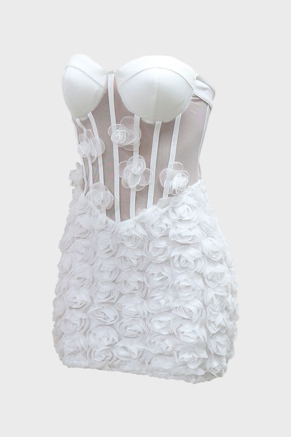 Mesh Mini Dress Lavish Daily