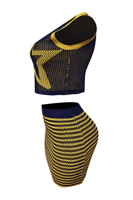 Stretchy Sleeveless Tank Top & Mini Skirt Set Lavish Daily