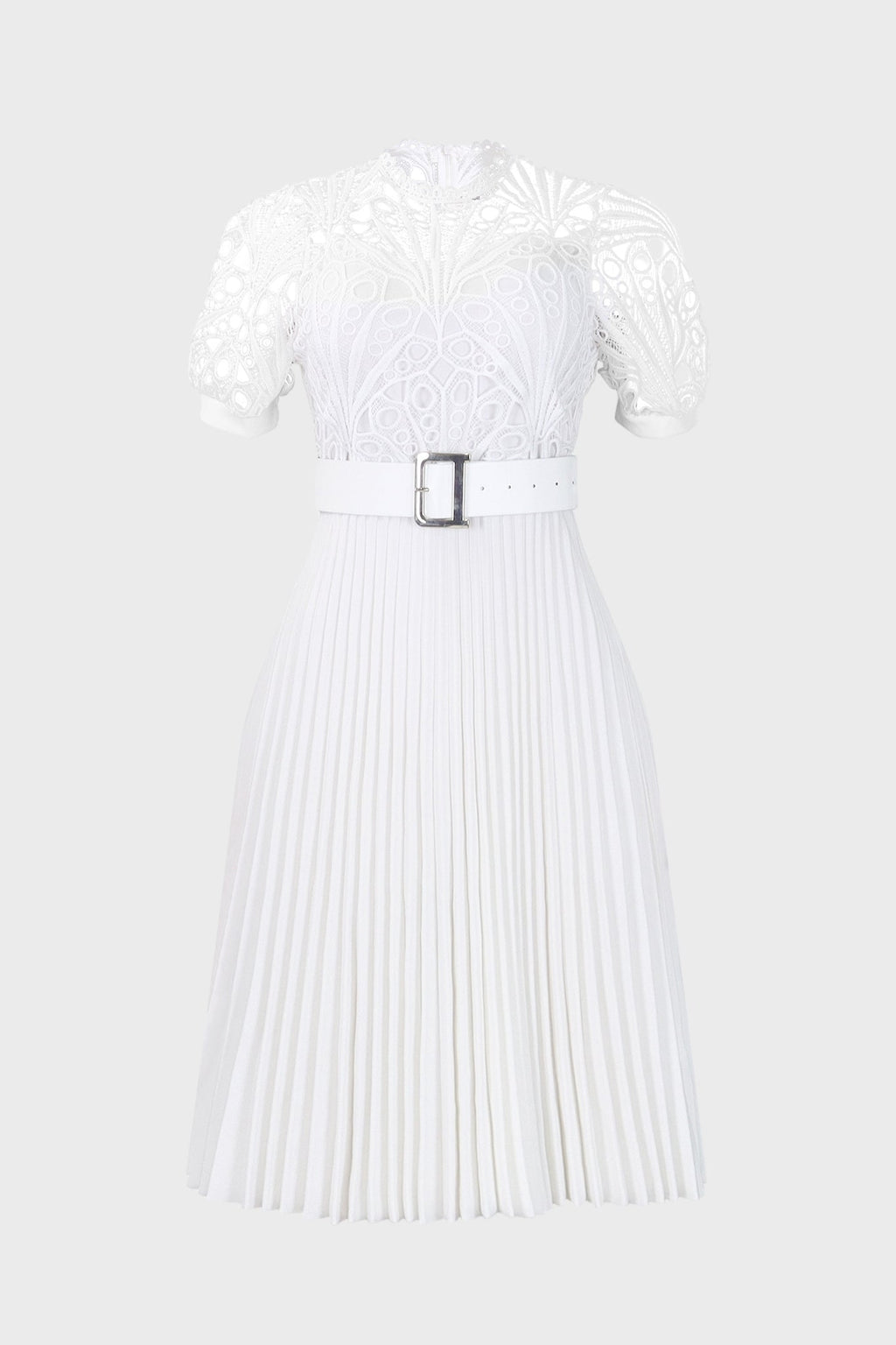 A-Line Pleated Dress Lavish Daily