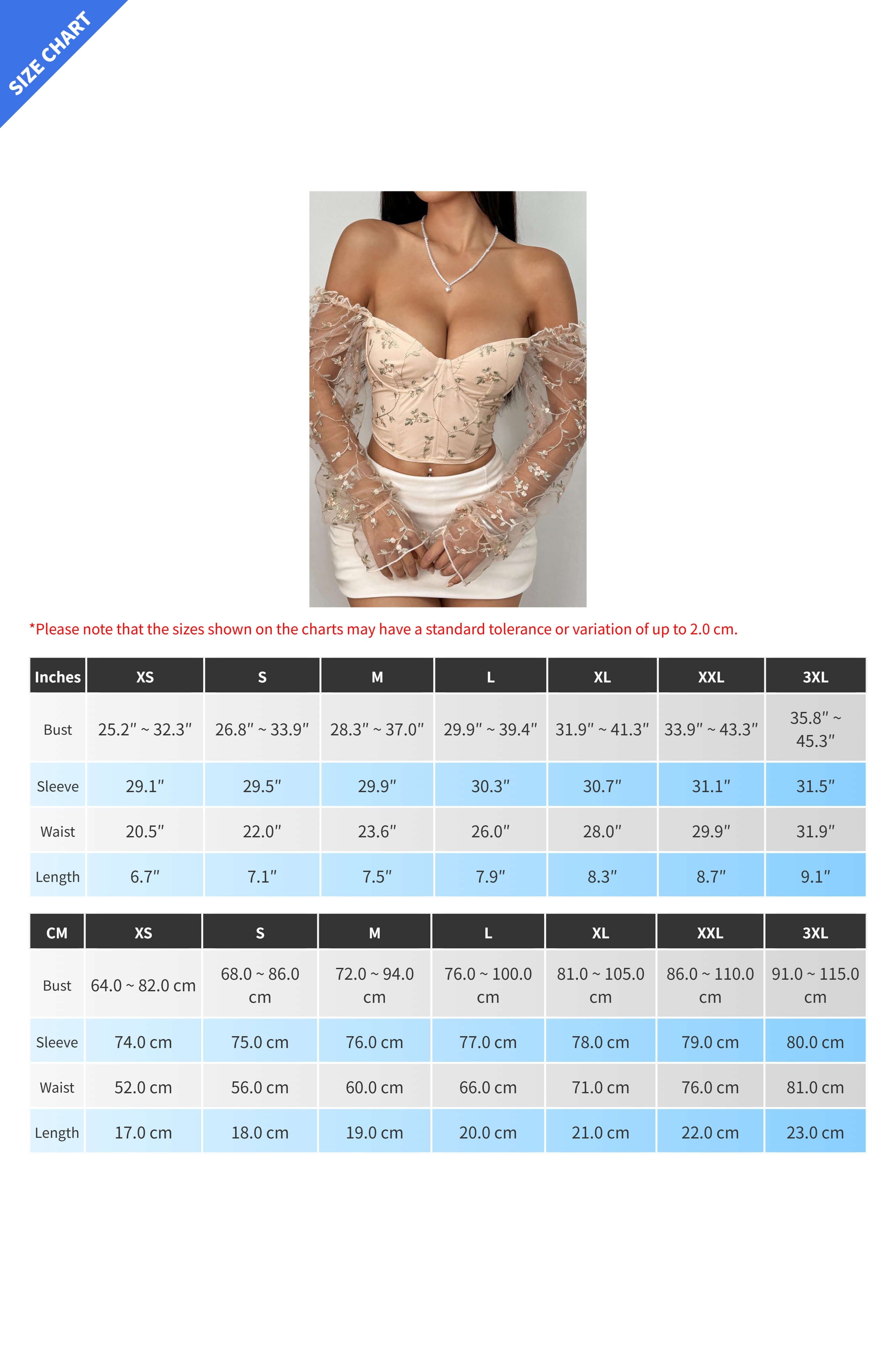 Sheer Mesh Embroidered Boned Corset Top Lavish Daily