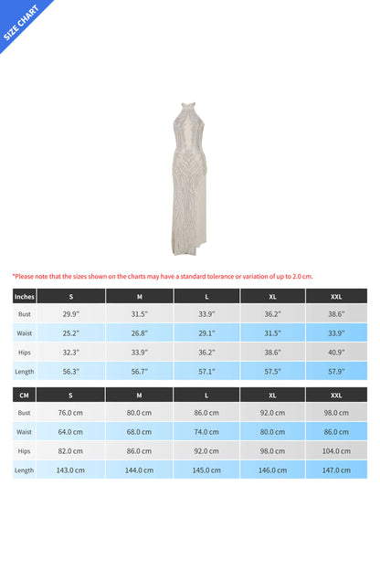 Sheer Silver Illusion Halter Maxi Gown Lavish Daily