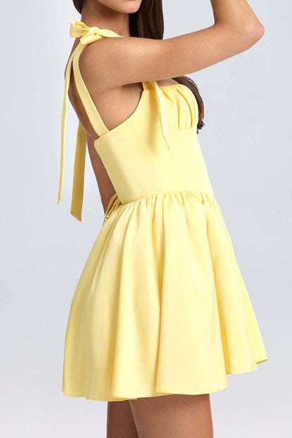 Pintucked Shirred Mini Dress Lavish Daily