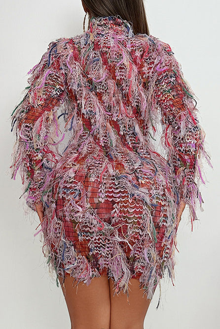 Multi-Color Fringe Mesh Mini Party Dress Lavish Daily