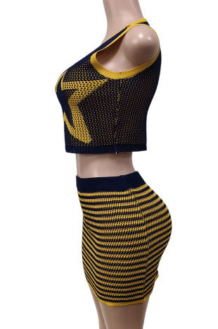 Stretchy Sleeveless Tank Top & Mini Skirt Set Lavish Daily