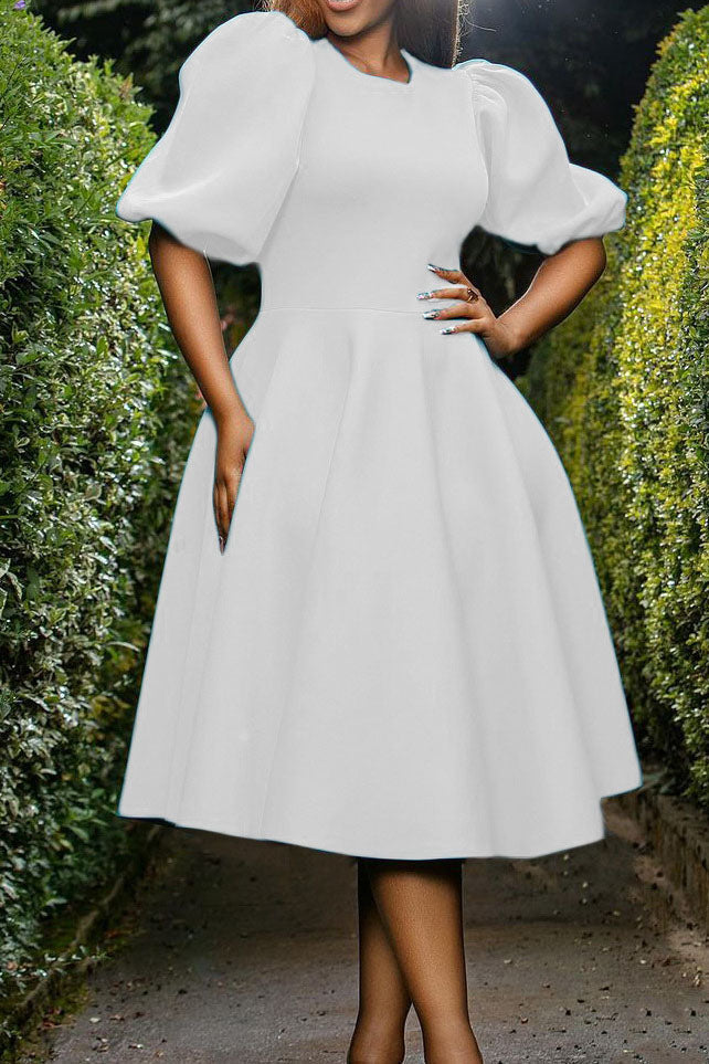 Round Neck Sleeve Slim Waist Swing A-Line Dress Lavish Daily