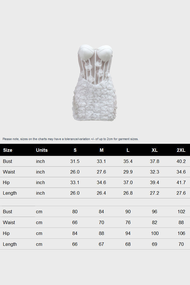 Mesh Mini Dress Lavish Daily