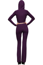 Hoodie and Trackpant Set LavishDaily