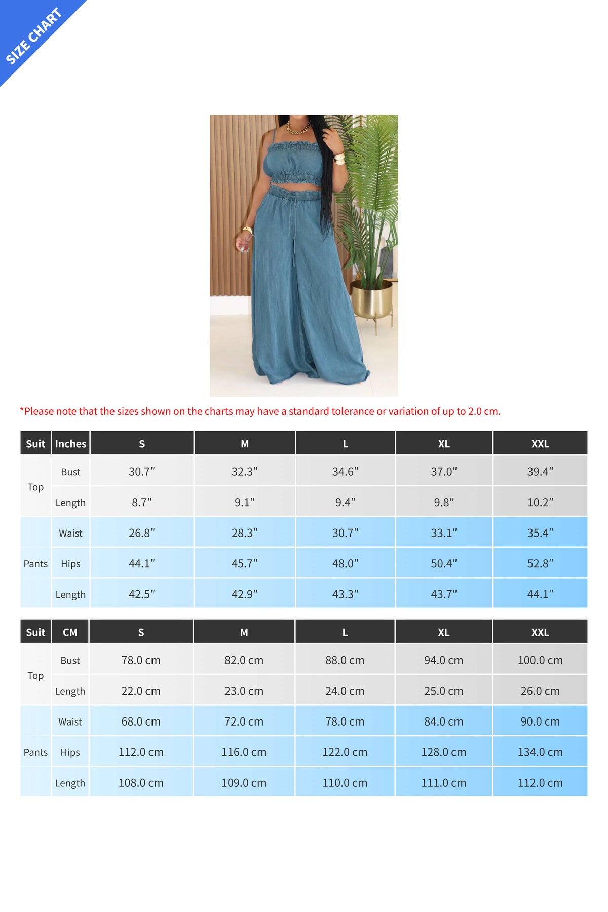 Smocked Crop Top & Wide Leg Pants Set Lavish Daily
