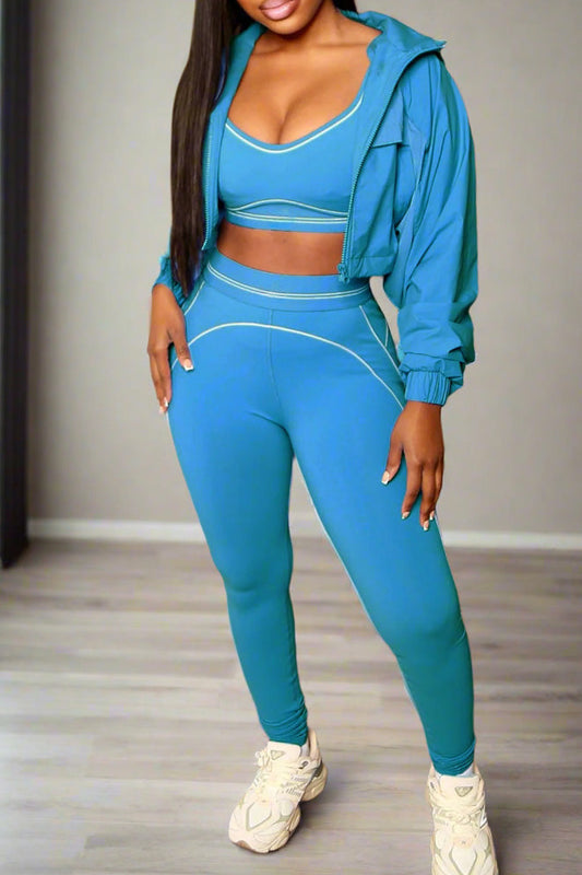 Athleisure Two Piece Set Lavish Daily