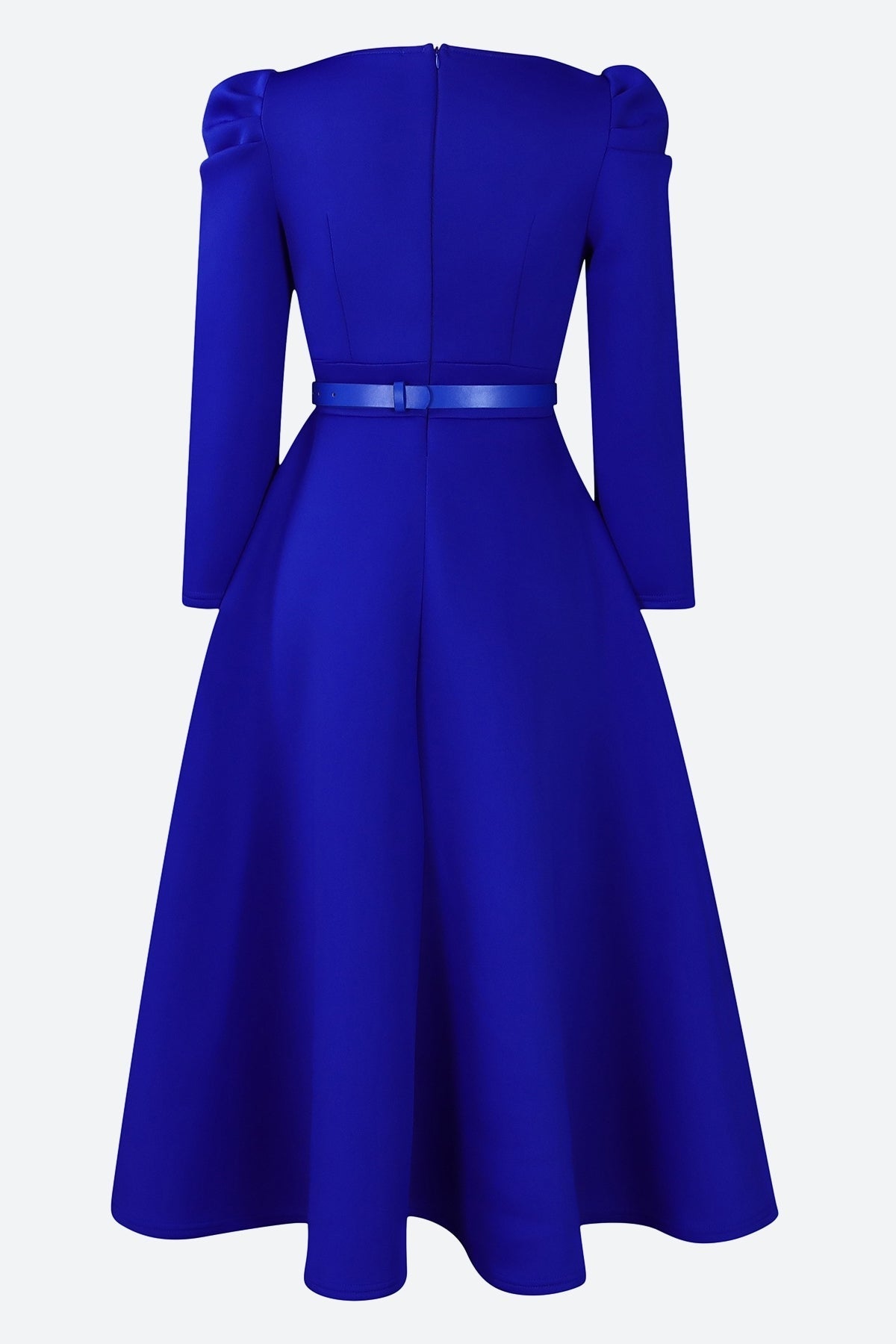 Puff Sleeve Elegant Pleated A-Line Dress Lavish Daily