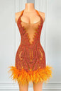 Sheer Cocktail Feather Dress Lavish Daily