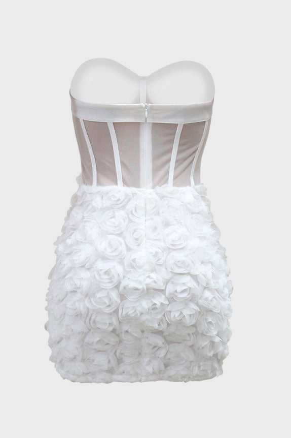 Mesh Mini Dress Lavish Daily