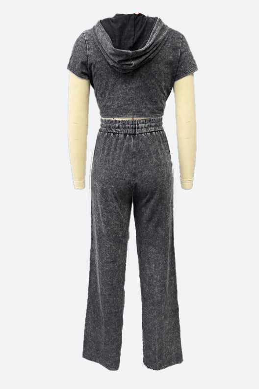 Washed Hoodie and Pants Casual Comfy Set Lavish Daily
