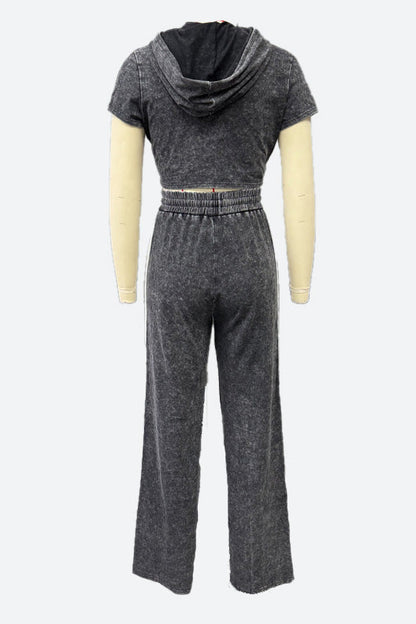 Washed Hoodie and Pants Casual Comfy Set Lavish Daily
