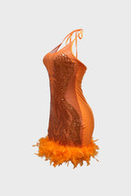 Sheer Cocktail Feather Dress Lavish Daily